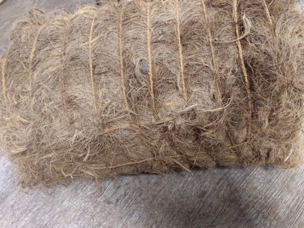 Coir Fibre
